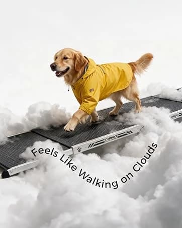 48'' Heavy Duty Dog Crates for Large Dogs — collection imagery