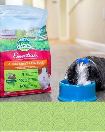 Eco Straw Rabbit Litter Pellets — collection imagery