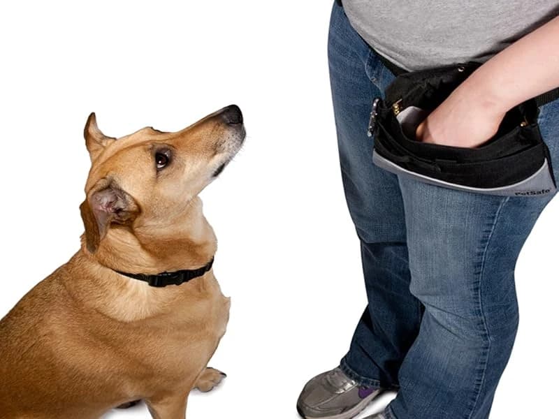 Dog Treat Pouch Sport — Black — Treat Pouch Sport