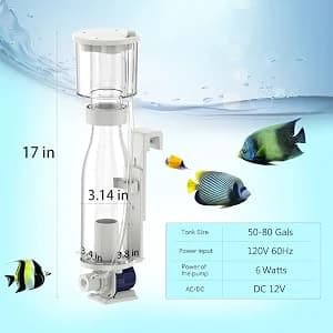 Protein Skimmers for Saltwater Aquariums — collection imagery