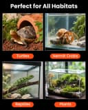 Reptile Terrarium Heat Pad with LCD Digital Aquarium Thermometer