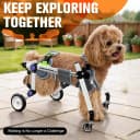 Four-Wheel Dog Mobility Cart with Front and Rear Support — Size: XXS 6-11lb