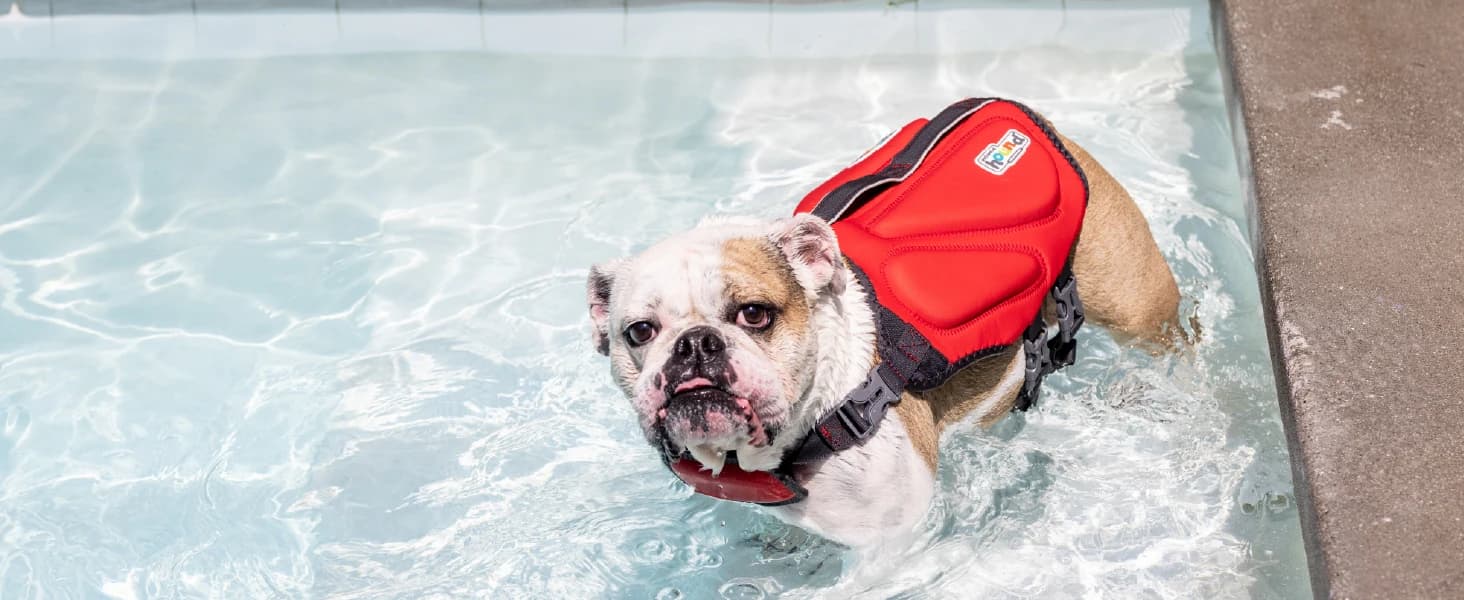 Dawson Swim Dog Life Jacket — Life Vest — collection imagery