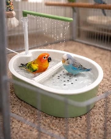 Indoor Bird Bath Fountain — Dual Rainfall Parrot Shower with Anti-Clog Pump and Filter Sponge — collection imagery