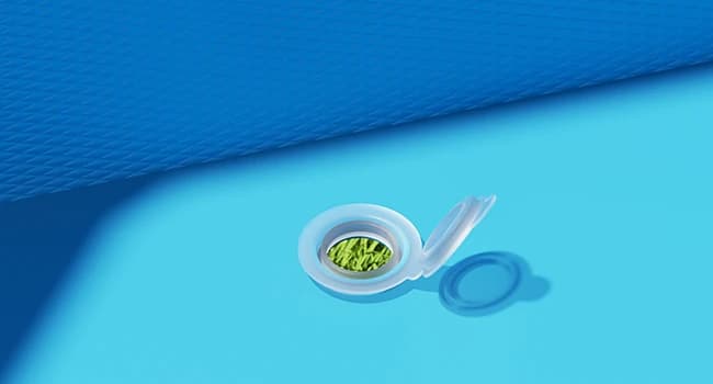 Dog Pool for Large Dogs — Foldable Hard Plastic — Double Drain Outlet for Quick and Convenient