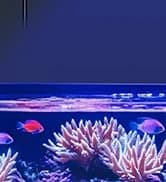 Battery Powered Aquarium Air Pump — collection imagery