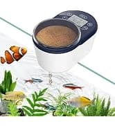 Real-time Display LED Digital Reptile Thermometer and Humidity Gauge — collection imagery