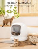 Self-Cleaning Cat Litter Box