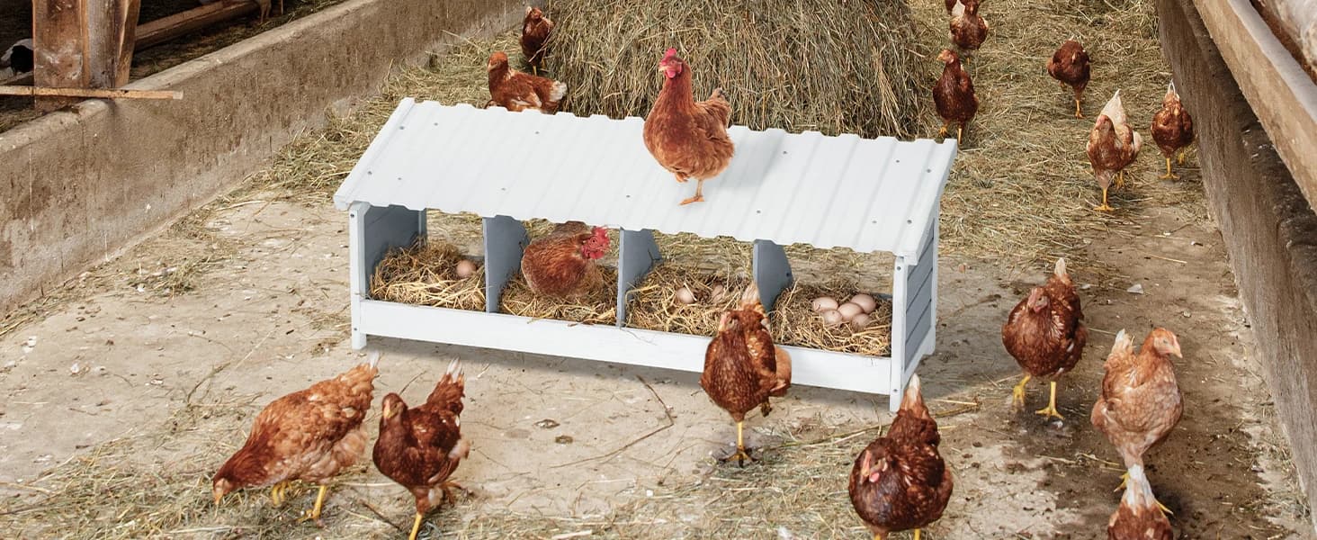4 Holes Chicken Nesting Box — PVC Waterproof Roof — product details
