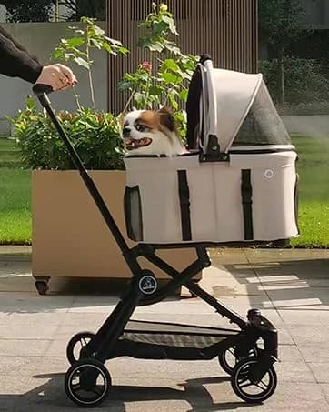 3 Wheel Pet Stroller Best Lightweight Foldable Compact Portable Jogger All Terrain Travel Pet Gear Puppy Kitty — collection imagery