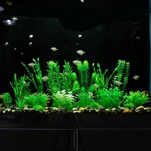 Aquarium Plants — 20 Pack Artificial Fish Tank Plants for Aquarium Decorations (Green) — Artificial Aquarium Decorations