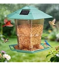Bird Houses for Outside Real Wood-Look Resin Bird House with Hanging Chain – Waterproof and Durable Forest — collection imagery