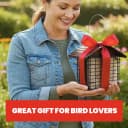 Double Suet Cake Feeder — Weather Guard