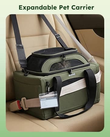 Cat Backpack Expandable — Cat Carrier Backpack with Breathable Window — collection imagery