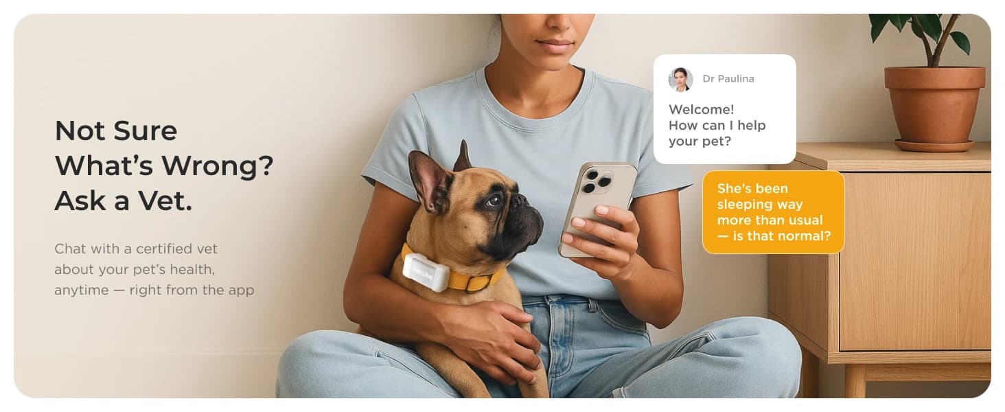 GPS Tracker for Dogs – Real-Time GPS Tracking and Escape Alerts — product details