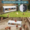4 Holes Chicken Nesting Box — PVC Waterproof Roof