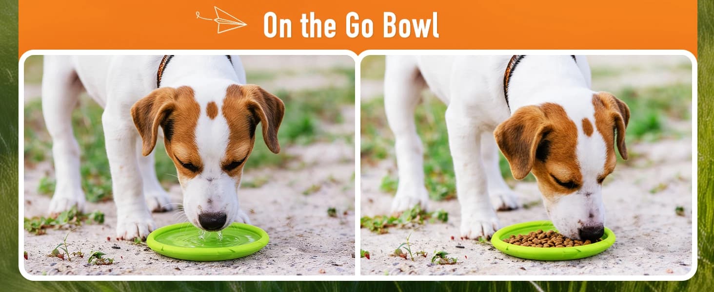 Dog Flying Disc — 2 Pack — product details