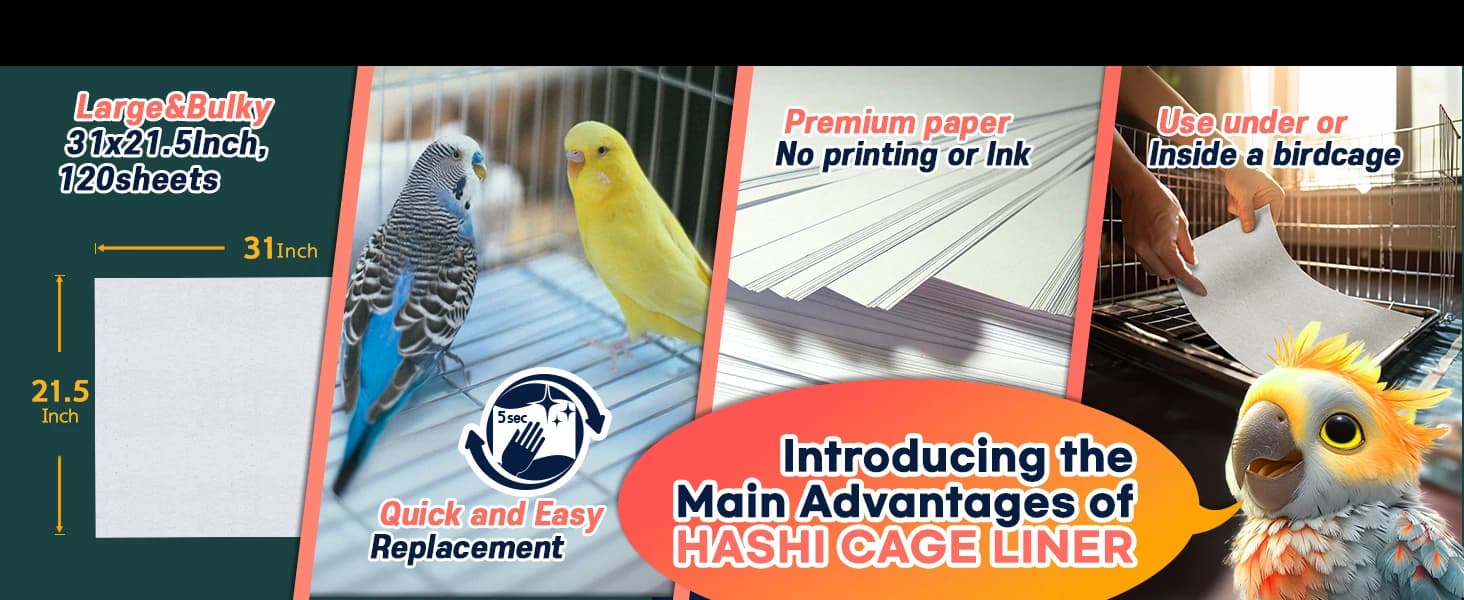 Bird Cage Liners — 120 Unscented Newsprint Sheets — collection imagery