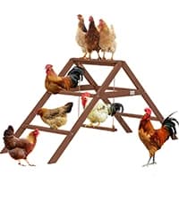 4 Holes Chicken Nesting Box — PVC Waterproof Roof — collection imagery