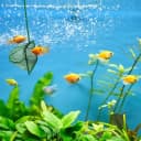 5 Pack Aquarium Fish Net, Multi-Size Fine Quick Fish Catch Nets Nylon Fishing Mesh Nets with Long Plastic