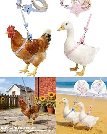 2PCS Ferret Harness and Leash — Adjustable Guinea Pig Harness — collection imagery