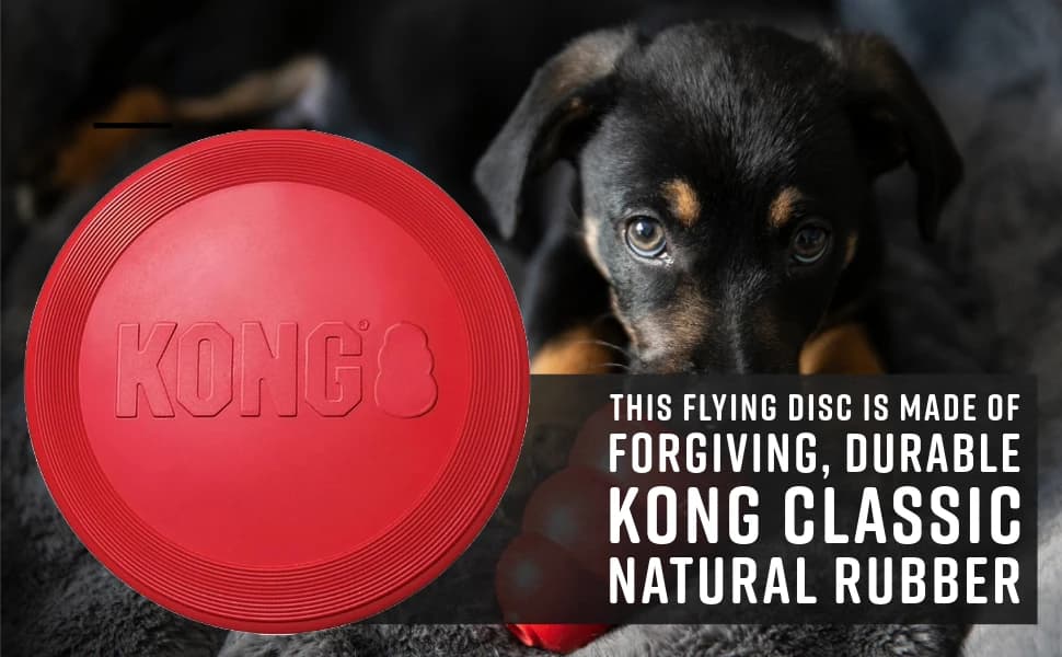 Flyer — Natural Rubber Flying Disc Fetch Toy — product details