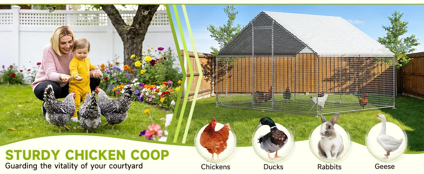 Large Walk-in Chicken Coop with Chicken Run — product details