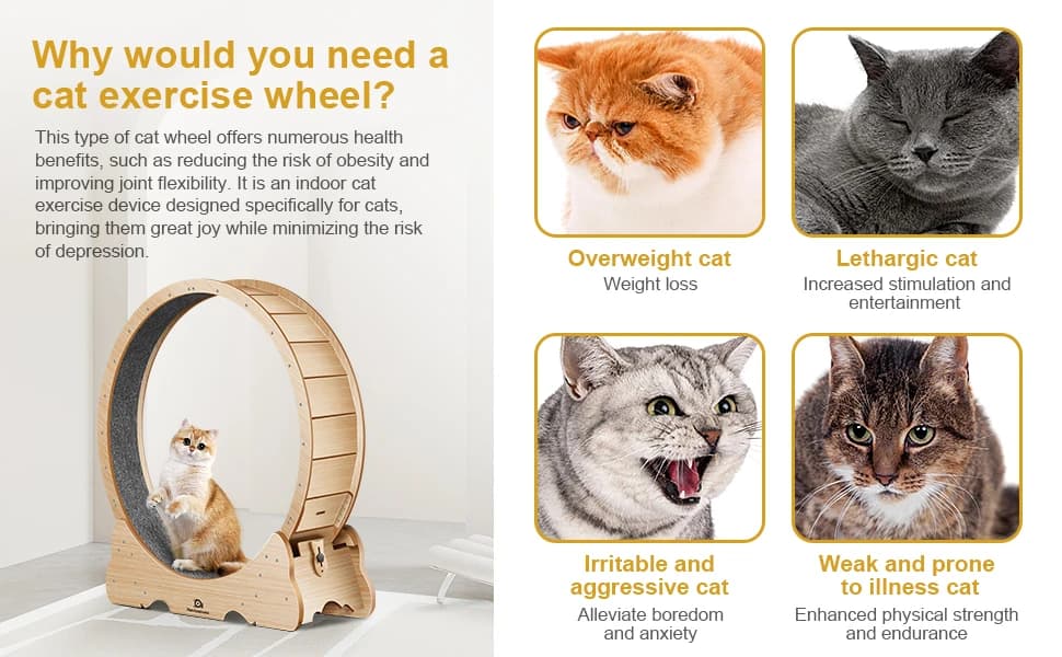 Cat Wheel — 46" XL Large Exercise Running Wheels with Detachable Carpet for Indoor Cats — product details