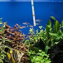 Freshwater Master Test Kit 800-Test Freshwater Aquarium Water Kit — Find Your Ideal Testing Style!