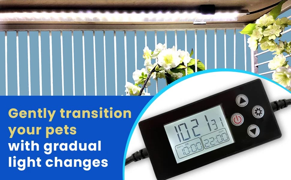 Sunrise and Sunset Timer for Bird Lights — product details