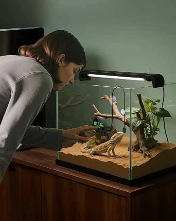 Real-time Display LED Digital Reptile Thermometer and Humidity Gauge — collection imagery