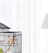 64-Inch Open Top Bird Cage for Parakeets and Cockatiels — collection imagery