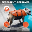 Granby Splash Dog Life Jacket