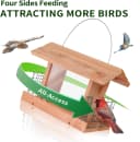 Squirrel-Proof Cedar Hopper Bird Feeder