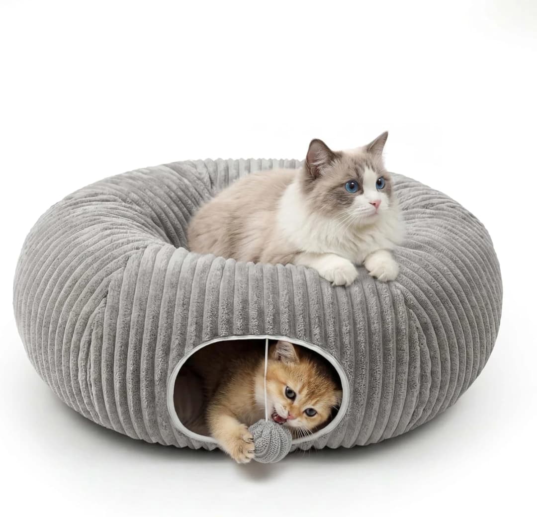 Cat Tunnel Bed for Indoor Cats — Peekaboo Cat Cave Bed — Color: Grey / Size: Medium