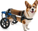 Dog Wheelchair for Back Legs – Adjustable Dog Wheelchair