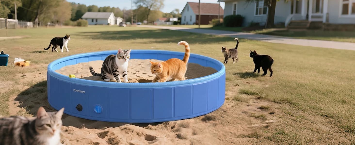 Foldable Dog Pool with Sprinkler and RGB LED Light — collection imagery