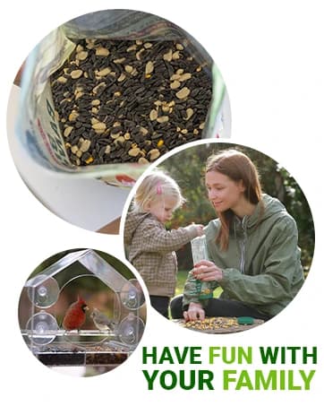 Window Bird Feeder with Strong Suction Cups — collection imagery