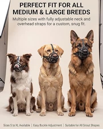 Breathable Basket Dog Muzzle for Large Breeds | Adjustable Mask with Reflective Straps | Allows Drinking and — collection imagery