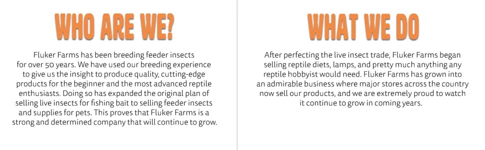 Deep Thermal Heat Lamp for Reptiles with Carbon Infrared Technology — collection imagery