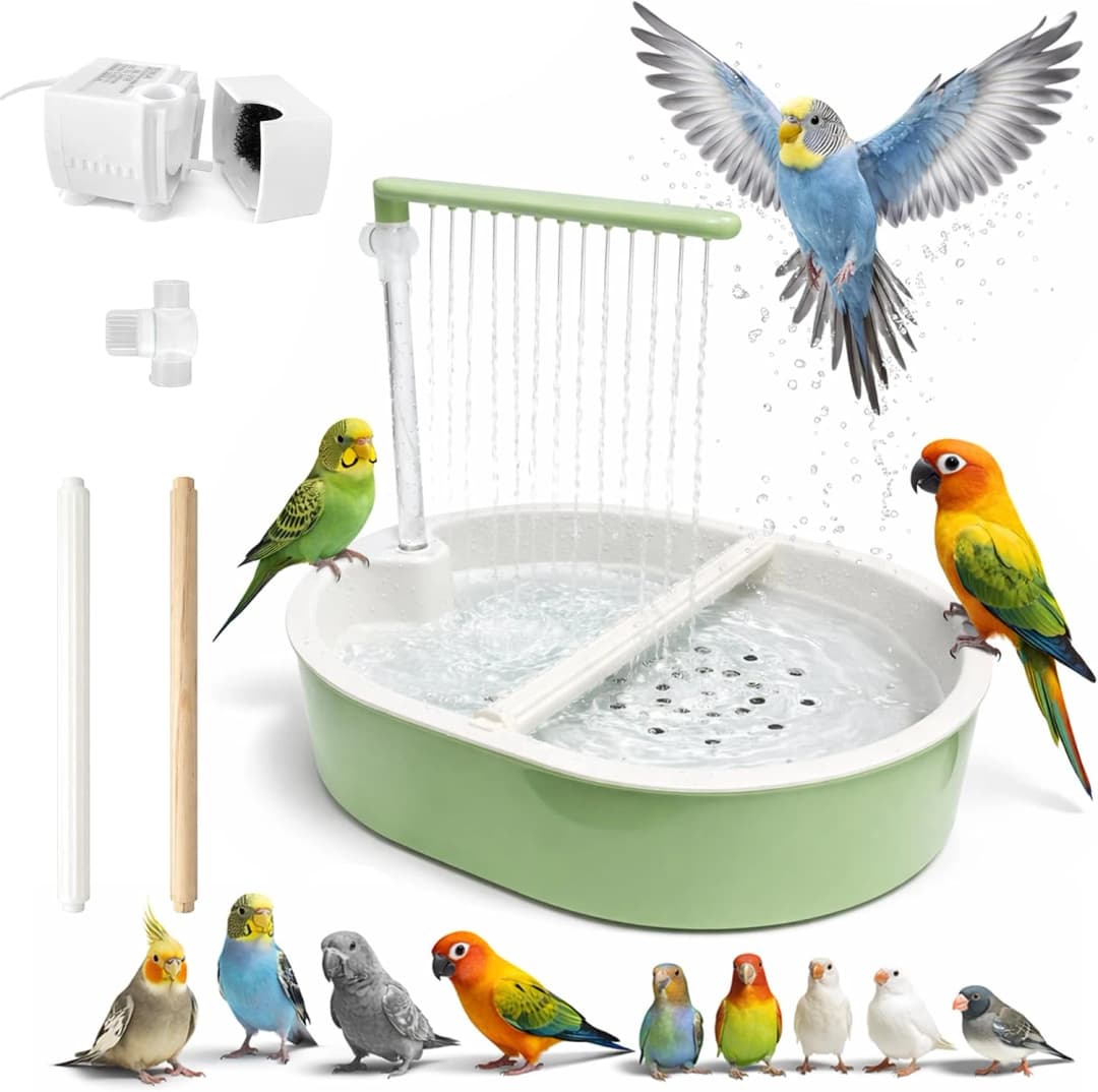 Indoor Bird Bath Fountain — Dual Rainfall Parrot Shower with Anti-Clog Pump and Filter Sponge