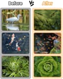 5 * 7ft Pond Cover Dome — Garden Pond Net Pond Mesh Tent with Ropes