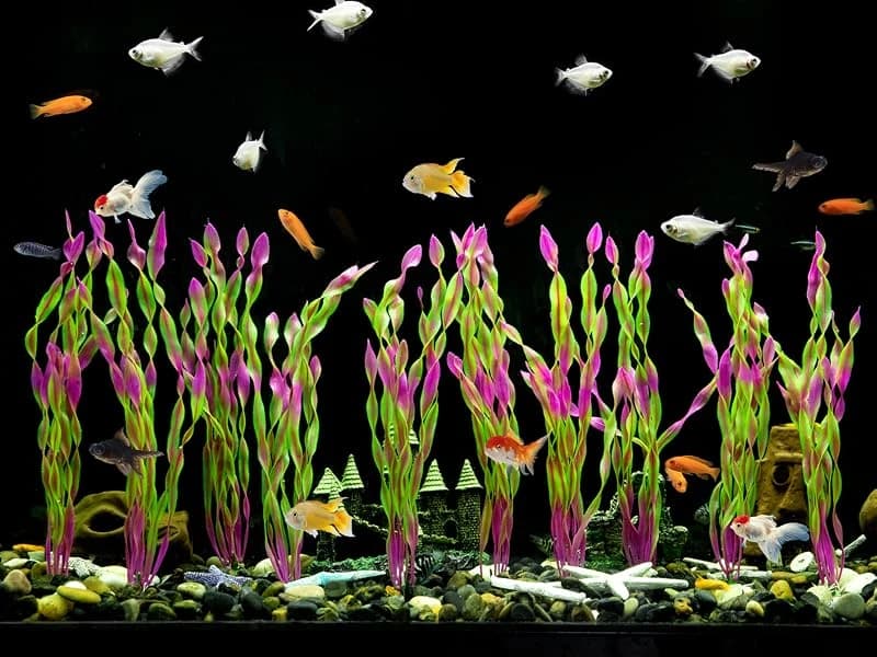 Artificial Seaweed Water Plants for Aquarium — Plastic Aquarium Plants