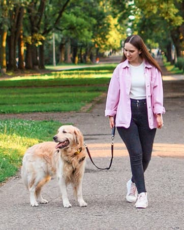V2.0-180° Rotating Dog Bike Leash - with Shock Absorbers and Quick Attach Mechanism | Carbon Fiber | Detachable — collection imagery