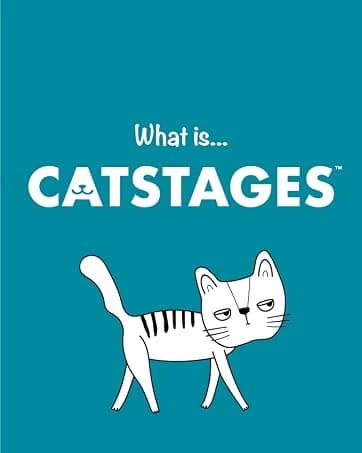 Nina Ottosson Melon Madness Puzzle and Play Cat Toy — collection imagery