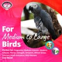 SB751 PVC Forager Bird Toy — Medium/Large Bird Size
