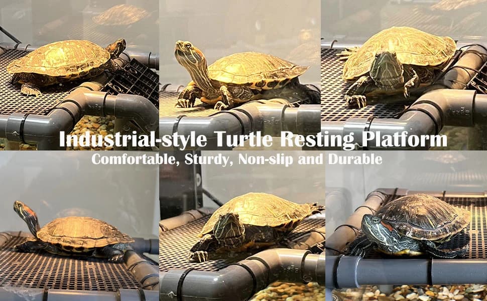 Large Turtle Basking Platform for Aquatic Turtles — product details