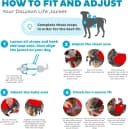 Dawson Swim Dog Life Jacket — Life Vest