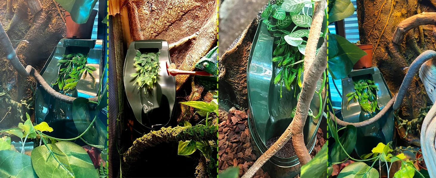 Reptile Chameleon Cantina Drinking Fountain Water dripper Supplied with Feeding Tongs and Frosted Tweezer for — product details