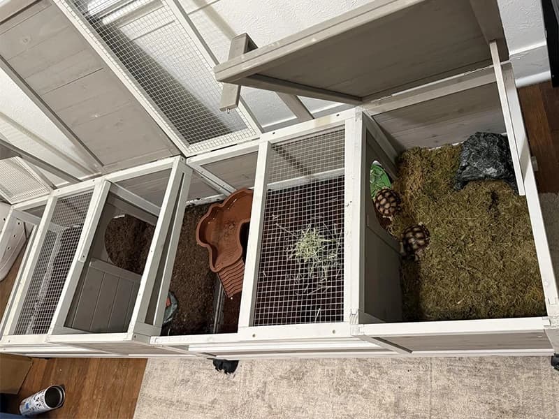 39" L Large Tortoise Enclosure — Voice of the Customer